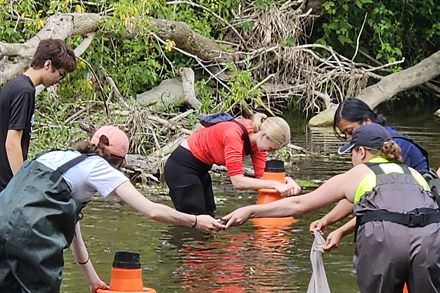 Monitoring Matters: How We Track the Health of Our Watershed