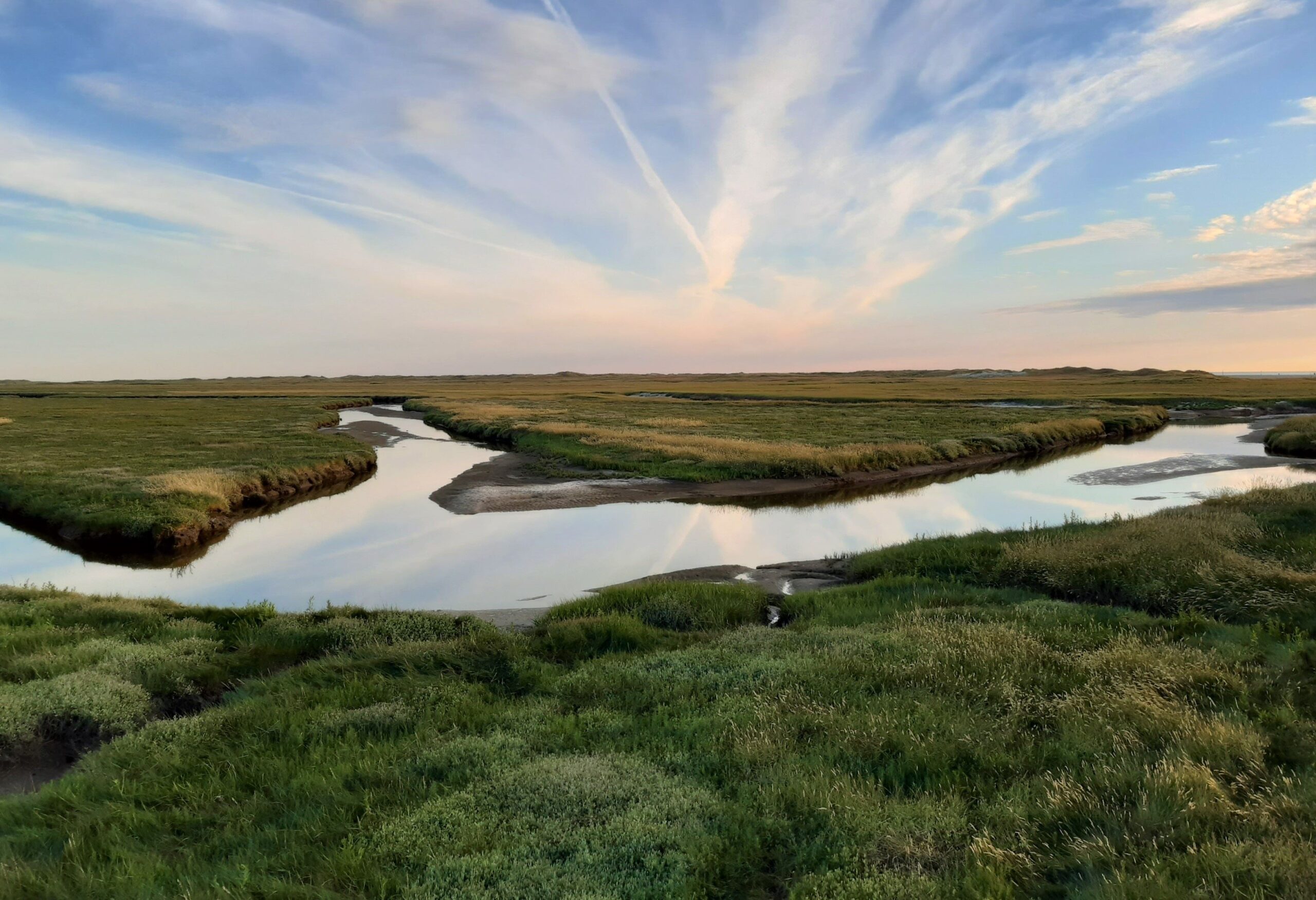 salt marsh